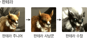 판테라 성장모습