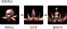 옥토퍼스 성장모습