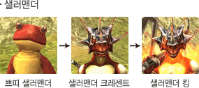 샐러맨더 성장모습