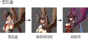 윈드송 성장모습