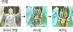 엔젤 성장모습