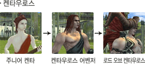 켄타우로스 성장모습