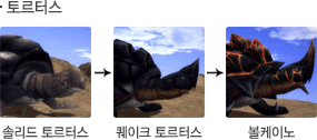 토르터스 성장모습