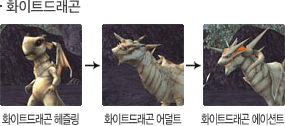 화이트드래곤 성장모습