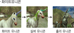 화이트유니콘 성장모습