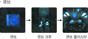 큐브 성장모습