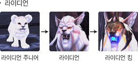 라이디언 성장모습
